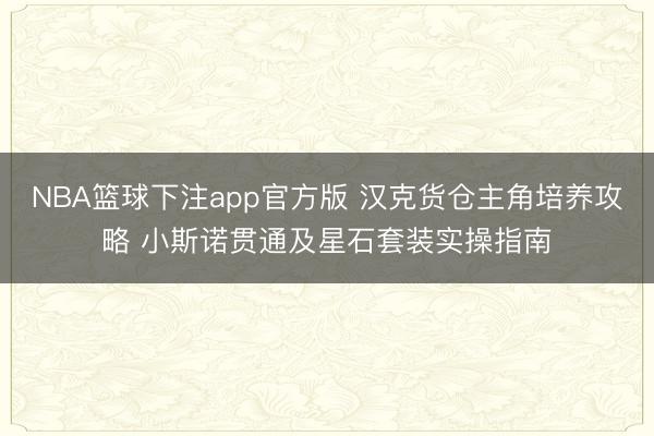 NBA篮球下注app官方版 汉克货仓主角培养攻略 小斯诺贯通及星石套装实操指南