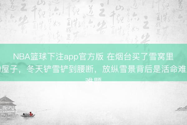 NBA篮球下注app官方版 在烟台买了雪窝里的屋子，冬天铲雪铲到腰断，放纵雪景背后是活命难题