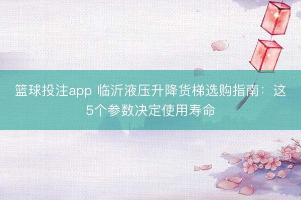 篮球投注app 临沂液压升降货梯选购指南:这5个参数决定使用寿命