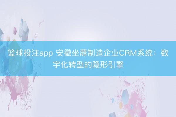 篮球投注app 安徽坐蓐制造企业CRM系统：数字化转型的隐形引擎